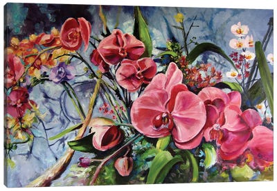 Orchidea Canvas Art Print - Orchid Art