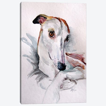Cute Dog Portrait Canvas Print #AKV588} by Anna Brigitta Kovacs Canvas Art Print