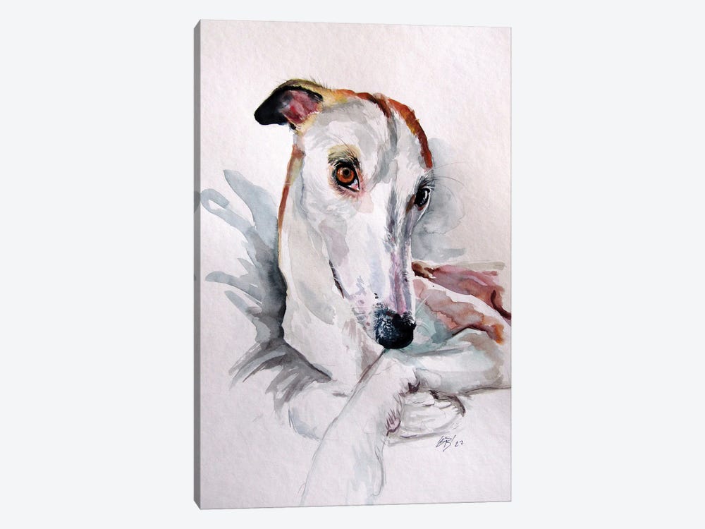 Cute Dog Portrait by Anna Brigitta Kovacs 1-piece Canvas Wall Art