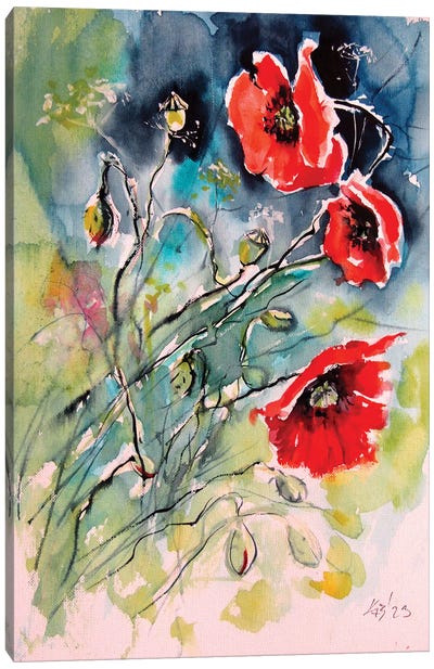 Playful Poppy Flowers II Canvas Art Print - Anna Brigitta Kovacs