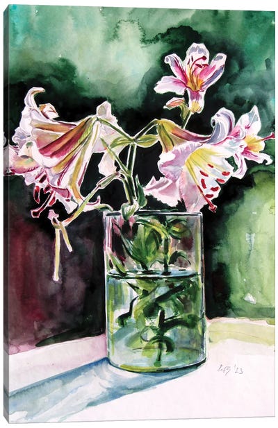 Lily From My Garden II Canvas Art Print - Anna Brigitta Kovacs