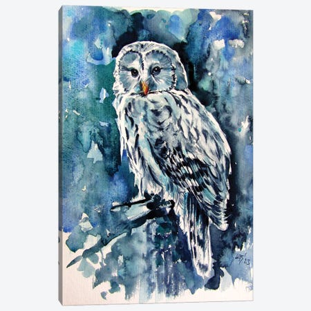 Owl In The Forest Canvas Print #AKV607} by Anna Brigitta Kovacs Art Print