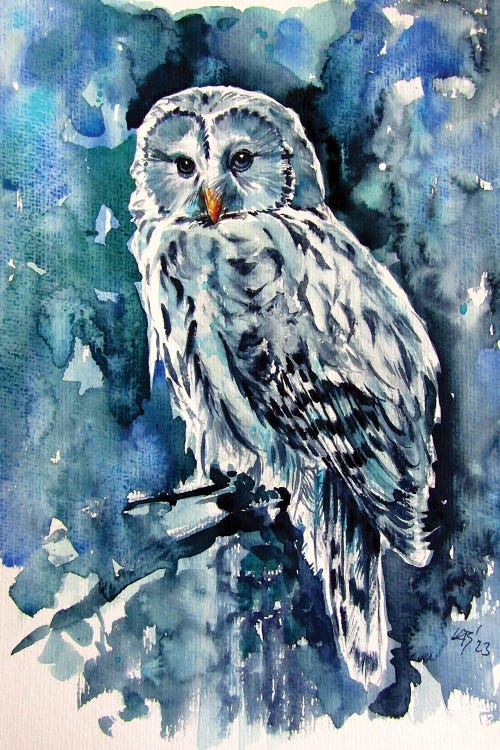 Owl In The Forest