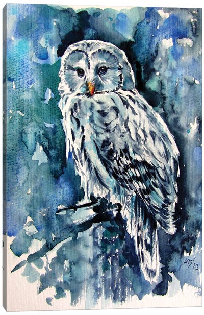 Owl In The Forest Canvas Art Print - Anna Brigitta Kovacs