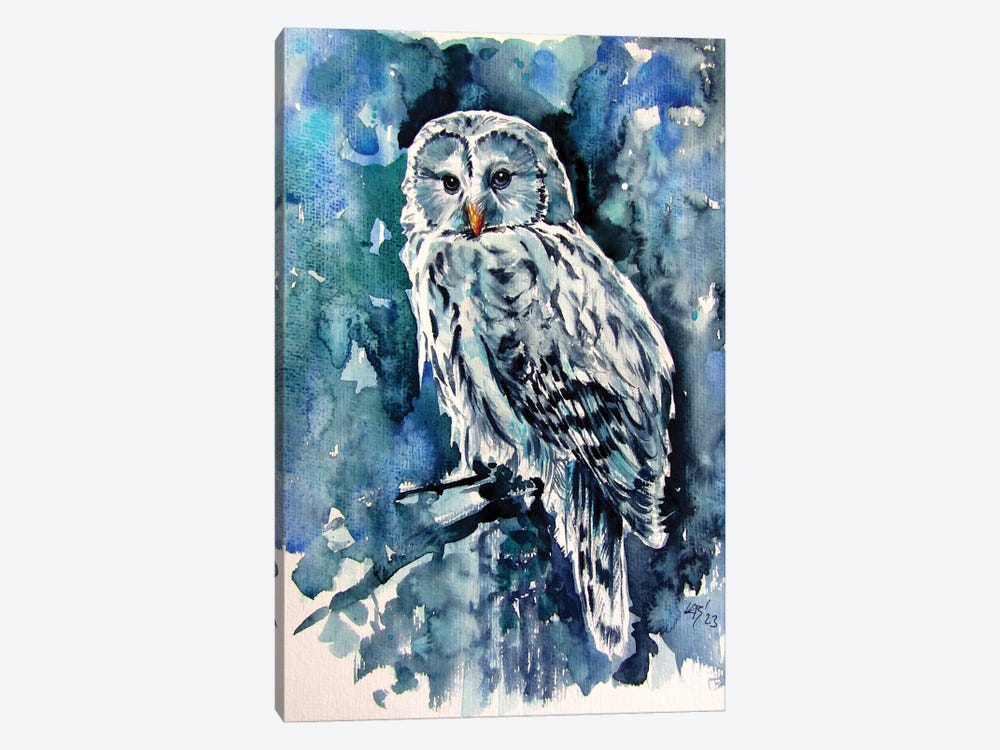 Owl In The Forest by Anna Brigitta Kovacs 1-piece Canvas Art Print