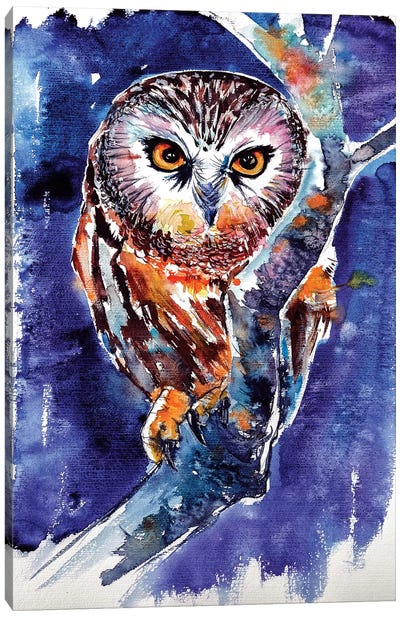 Owl At Night Canvas Art Print - Anna Brigitta Kovacs