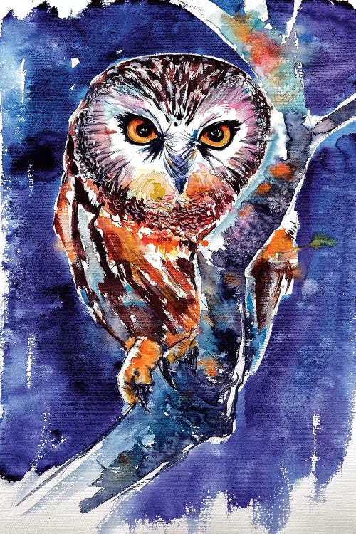 Owl At Night