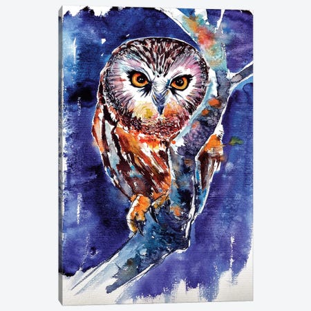Owl At Night Canvas Print #AKV60} by Anna Brigitta Kovacs Canvas Art