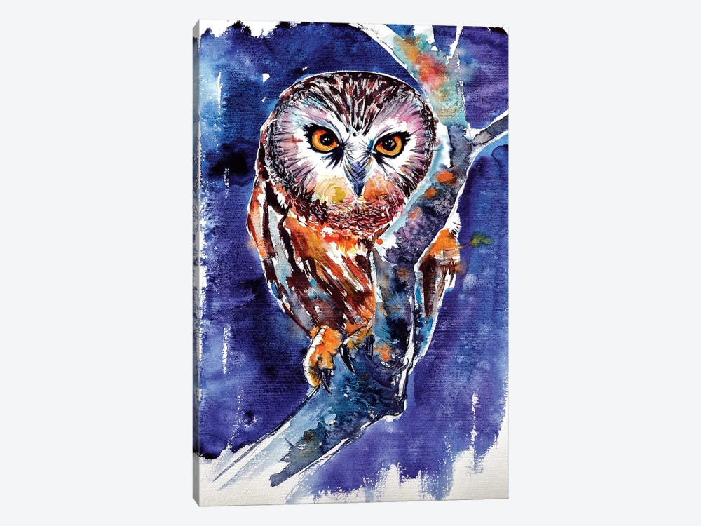 Owl At Night by Anna Brigitta Kovacs 1-piece Canvas Wall Art
