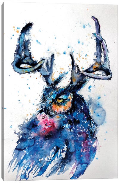 Owl III Canvas Art Print - Anna Brigitta Kovacs