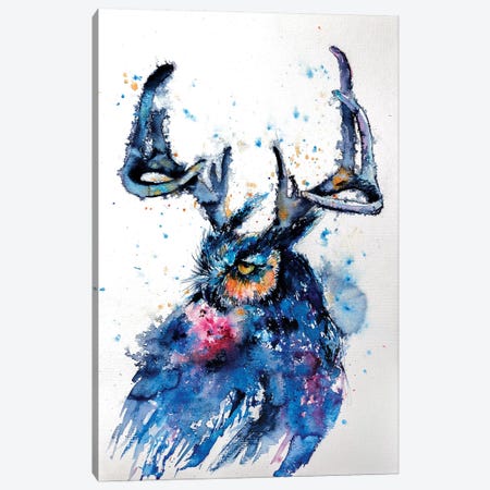 Owl III Canvas Print #AKV61} by Anna Brigitta Kovacs Canvas Art
