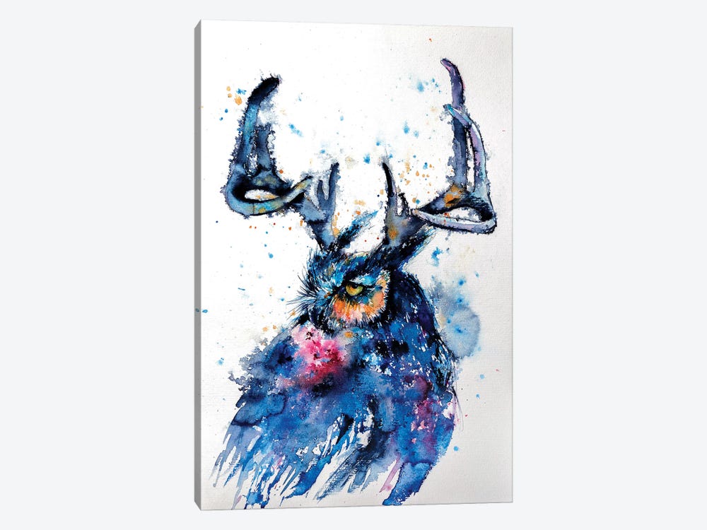 Owl III by Anna Brigitta Kovacs 1-piece Canvas Art Print