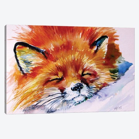 Sleeping Red Fox Canvas Print #AKV624} by Anna Brigitta Kovacs Canvas Art Print