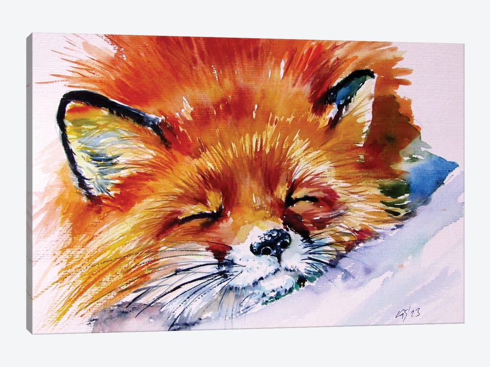 Sleeping Red Fox by Anna Brigitta Kovacs 1-piece Canvas Art