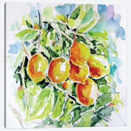 Lemons Canvas Print #AKV625} by Anna Brigitta Kovacs Canvas Print