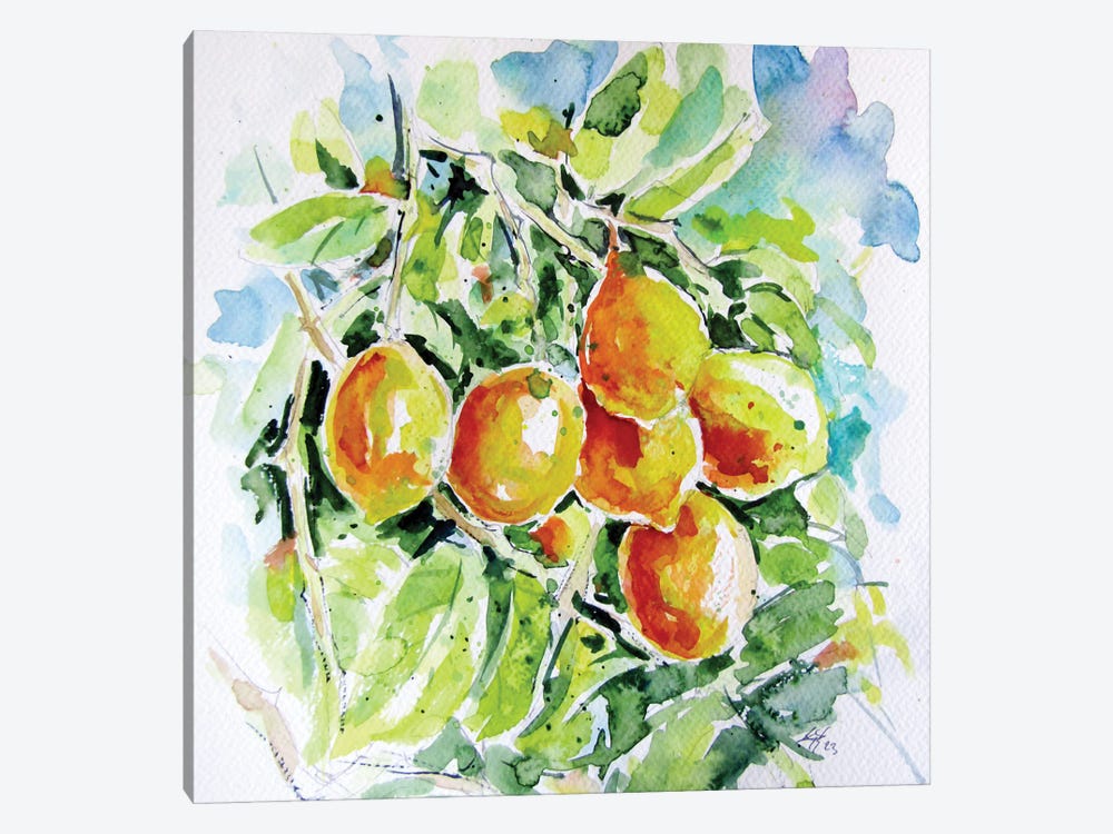 Lemons by Anna Brigitta Kovacs 1-piece Canvas Print