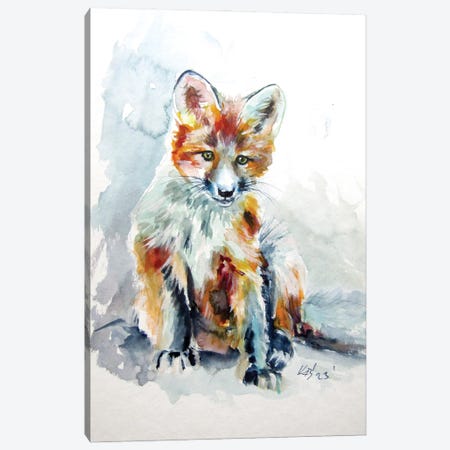 Red Fox Cub Canvas Print #AKV626} by Anna Brigitta Kovacs Canvas Print