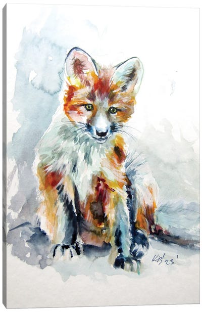 Red Fox Cub Canvas Art Print - Anna Brigitta Kovacs