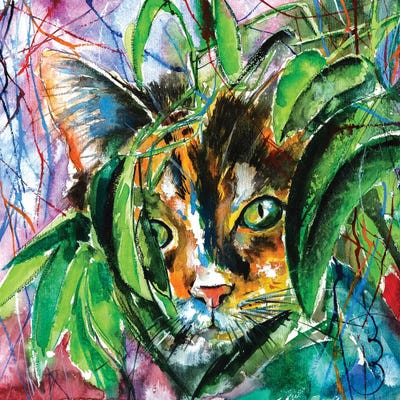 Playing Cat by Anna Brigitta Kovacs framed wall art