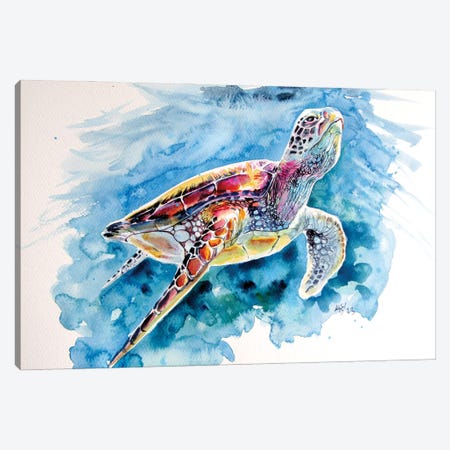 Turtle Canvas Print #AKV630} by Anna Brigitta Kovacs Canvas Art Print