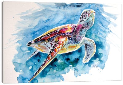 Turtle Canvas Art Print - Anna Brigitta Kovacs