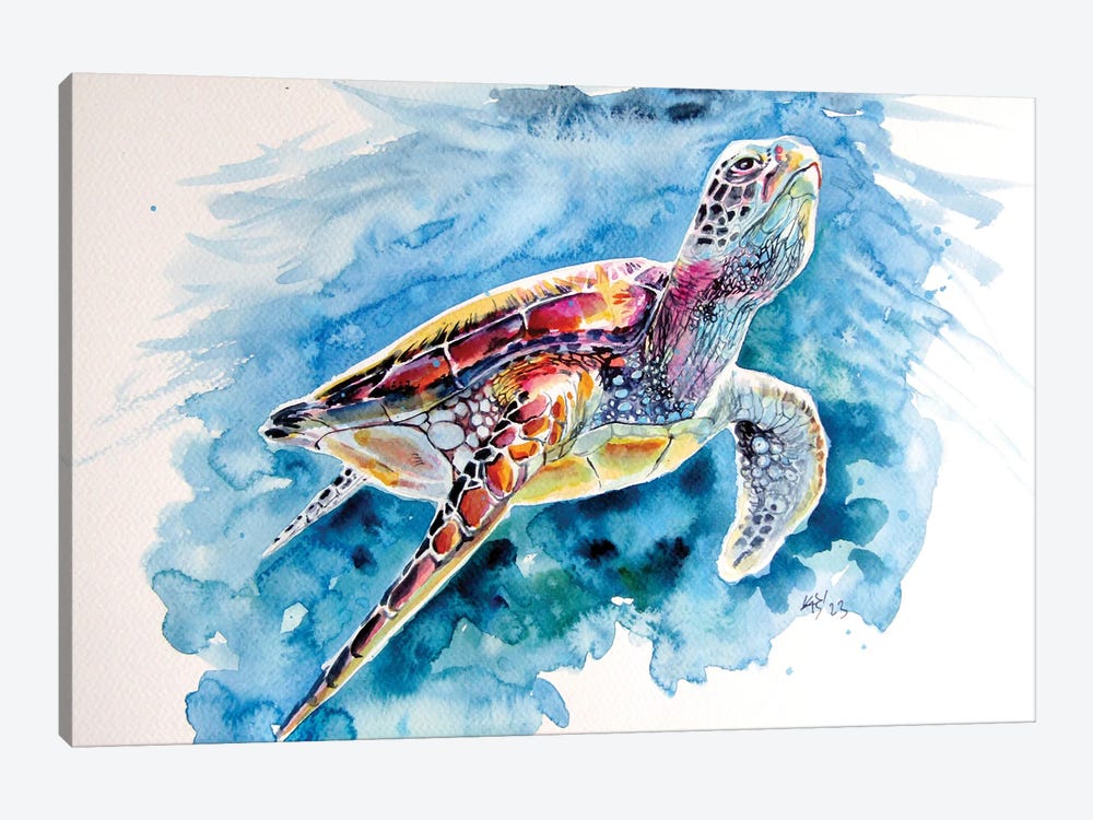 Turtle by Anna Brigitta Kovacs 1-piece Art Print
