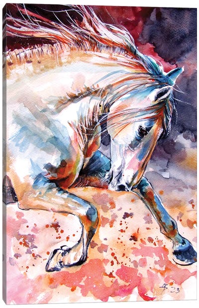 Running Horse Canvas Art Print - Anna Brigitta Kovacs