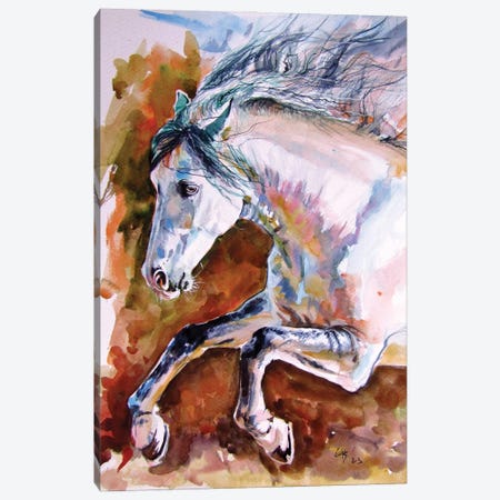 Running Horse II Canvas Print #AKV632} by Anna Brigitta Kovacs Canvas Print