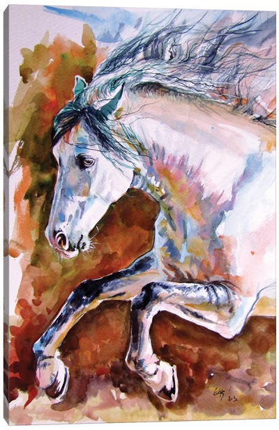 Running Horse II Canvas Art Print - Anna Brigitta Kovacs