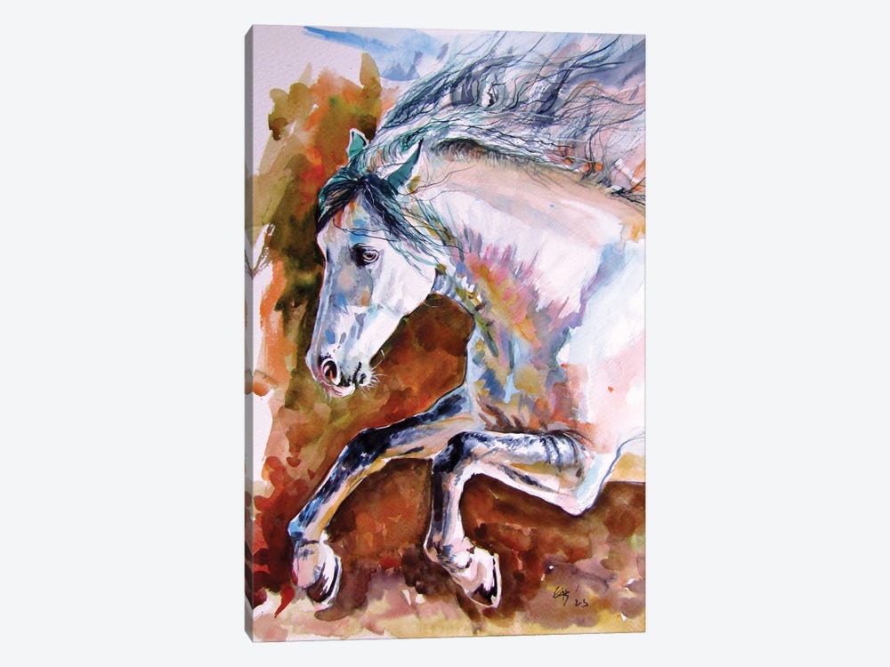 Running Horse II by Anna Brigitta Kovacs 1-piece Canvas Print