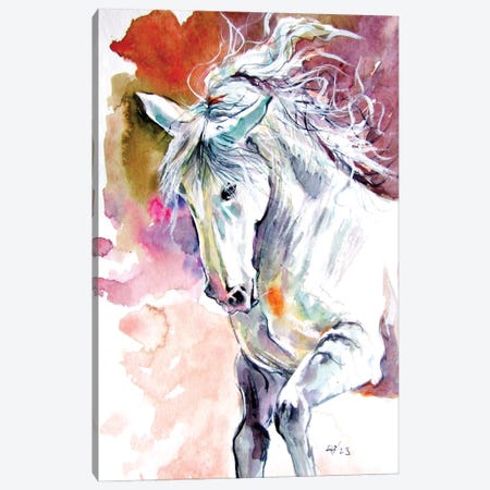 Andalusian Horse Canvas Print #AKV635} by Anna Brigitta Kovacs Canvas Wall Art