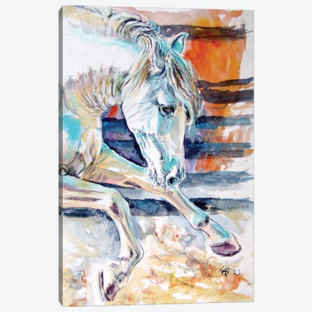 Andalusian Horse II Canvas Print #AKV636} by Anna Brigitta Kovacs Canvas Wall Art