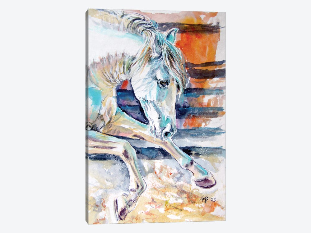Andalusian Horse II by Anna Brigitta Kovacs 1-piece Canvas Art Print