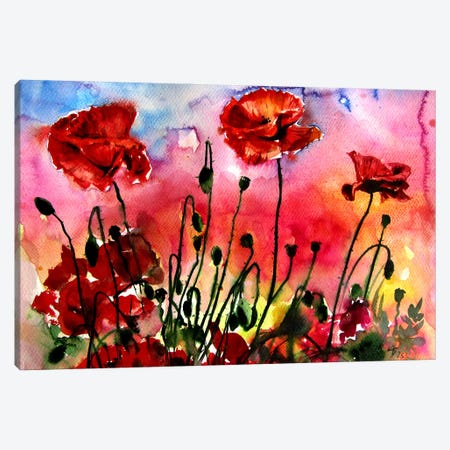 Poppies At Sunset Canvas Print #AKV642} by Anna Brigitta Kovacs Canvas Art