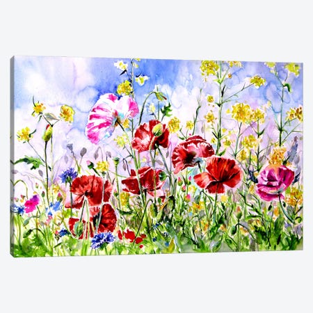 Poppies Field Iii Canvas Print #AKV643} by Anna Brigitta Kovacs Canvas Artwork