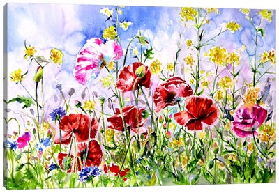Poppies Field Iii Canvas Art Print - Anna Brigitta Kovacs