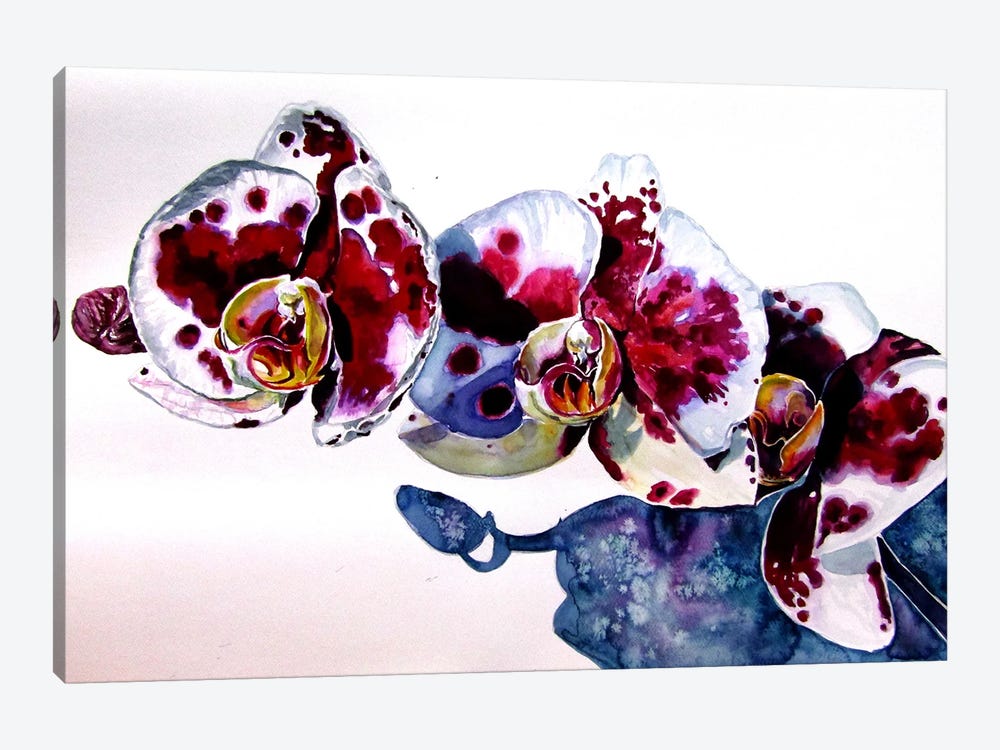 Orchid by Anna Brigitta Kovacs 1-piece Canvas Artwork