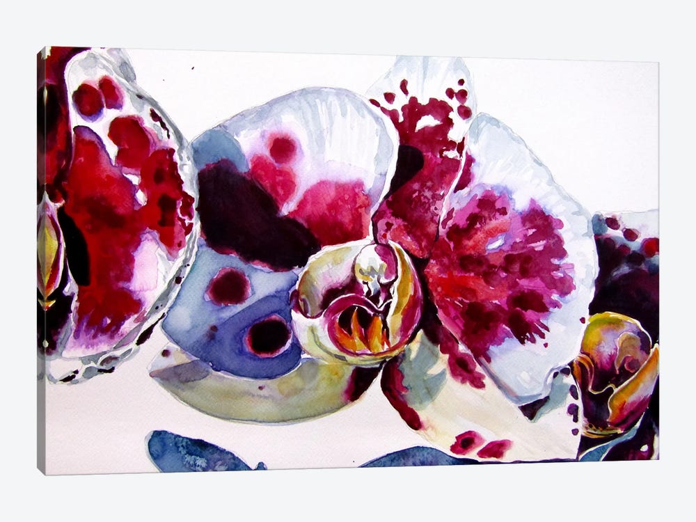 Orchid II by Anna Brigitta Kovacs 1-piece Canvas Art Print