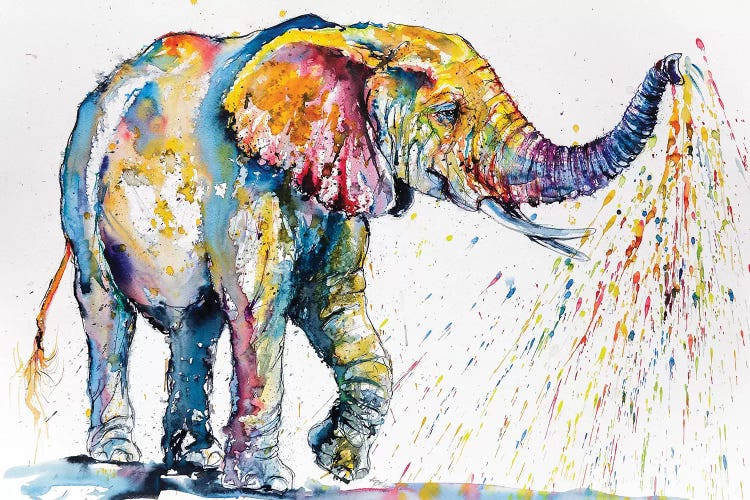 Playing Colorful Elephant by Anna Brigitta Kovacs wall art