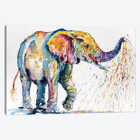 Playing Colorful Elephant Canvas Print #AKV64} by Anna Brigitta Kovacs Art Print