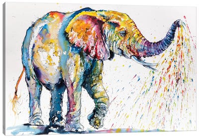 Playing Colorful Elephant Canvas Art Print - Anna Brigitta Kovacs