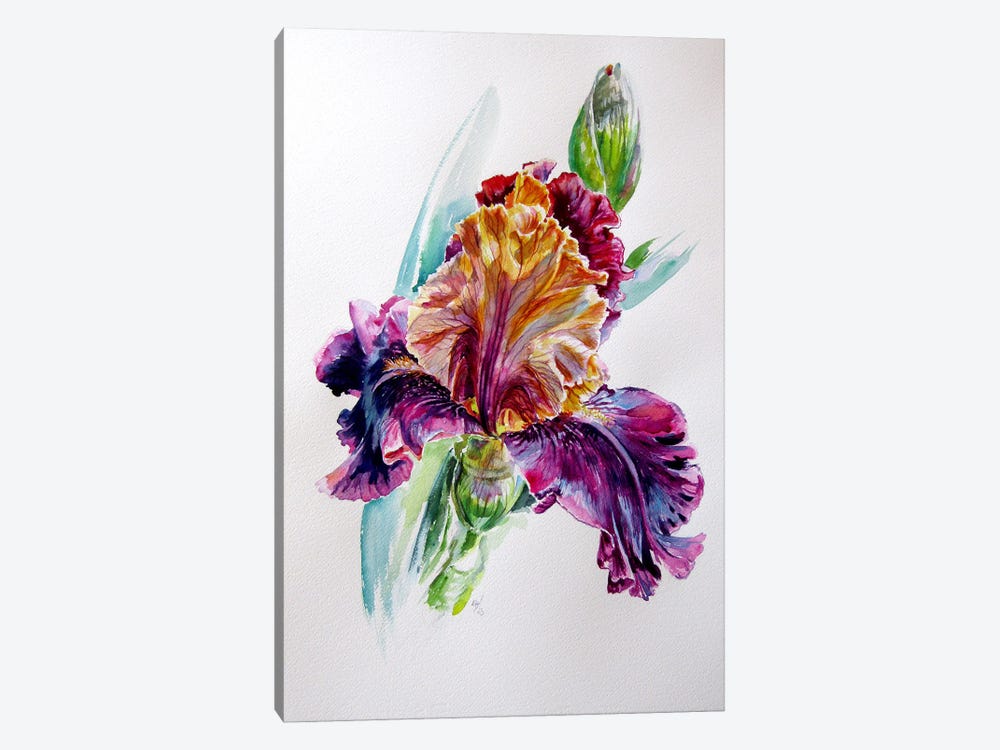 Iris From The Garden by Anna Brigitta Kovacs 1-piece Art Print