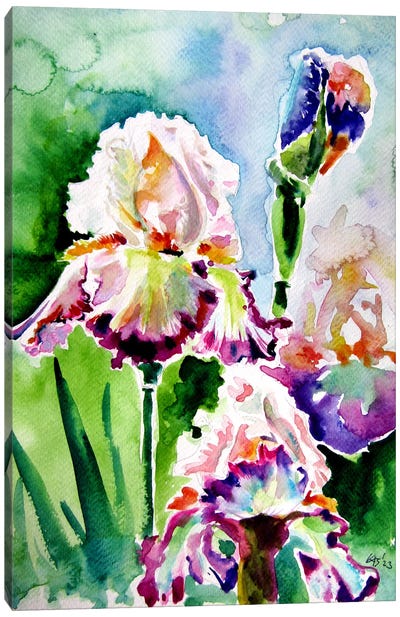 Iris From The Garden II Canvas Art Print - Anna Brigitta Kovacs
