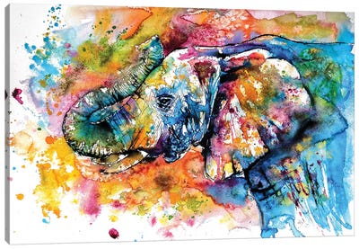 Playing Elephant Canvas Art Print - Anna Brigitta Kovacs
