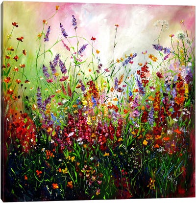 Happy Wildflowers Field Canvas Art Print - Anna Brigitta Kovacs