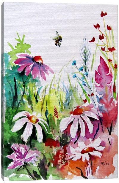 Colorful Wildflowers III Canvas Art Print - Anna Brigitta Kovacs