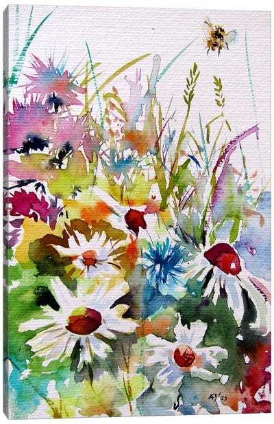 Colorful Wildflowers Canvas Art Print - Anna Brigitta Kovacs