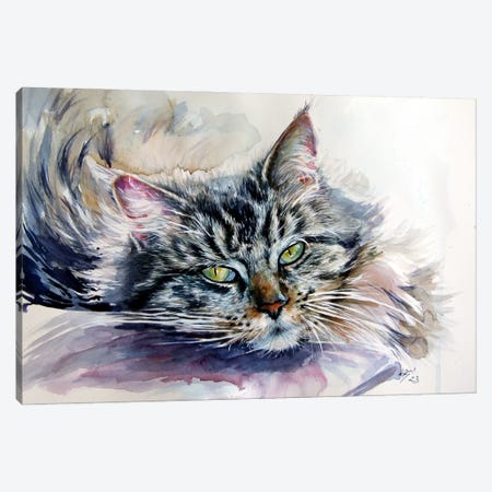 Resting Cat At Home Canvas Print #AKV688} by Anna Brigitta Kovacs Canvas Art