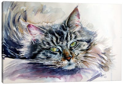 Resting Cat At Home Canvas Art Print - Anna Brigitta Kovacs