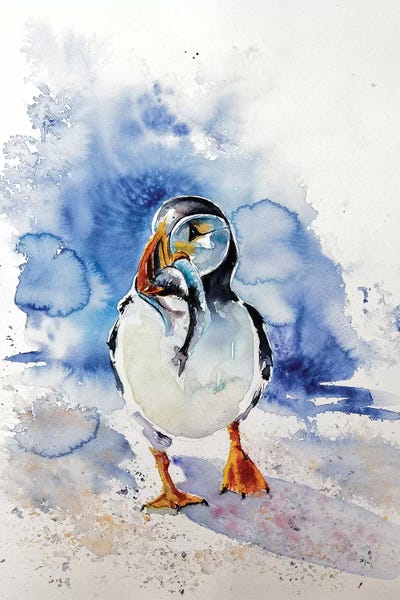 Puffin by Anna Brigitta Kovacs framed wall art
